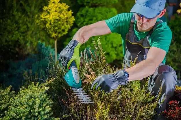 landscaping services Sedalia